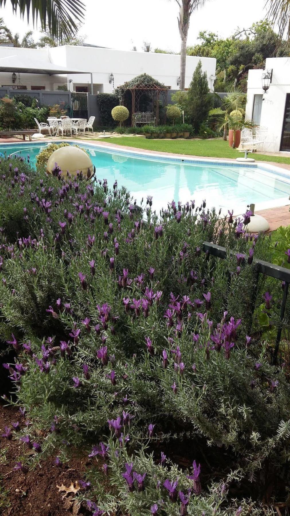 Cape Pillars Boutique Hotel Durbanville Exterior photo